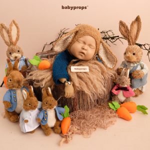 Peter Rabbit Collection