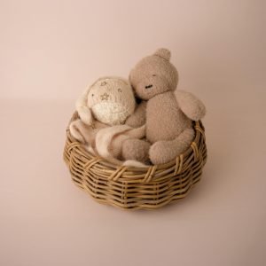 Bear Plushy Doll